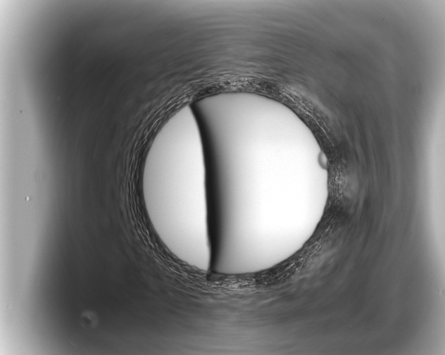 X0000098220865200804241131
