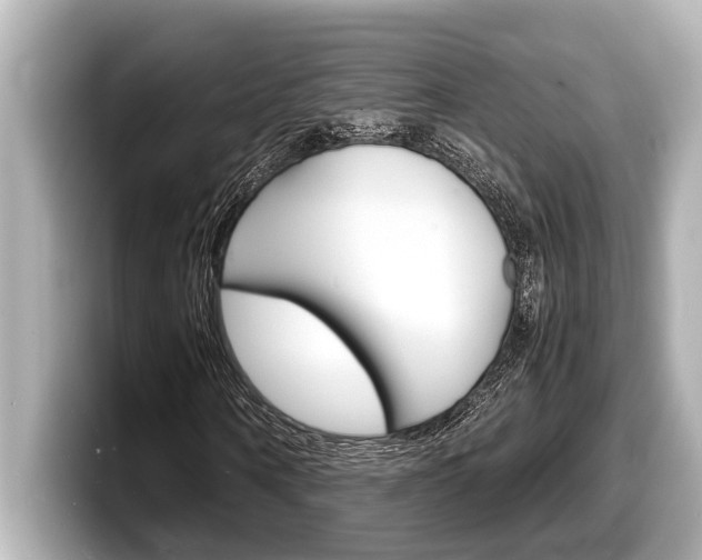 X0000098220866200804241131