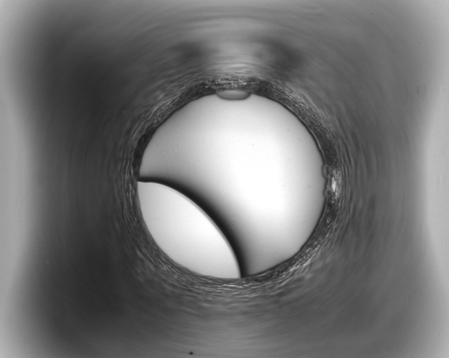 X0000098220867200804241131