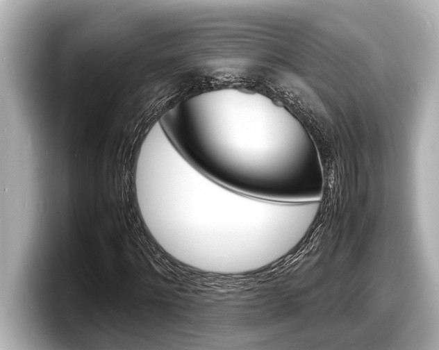X0000098220868200804241131