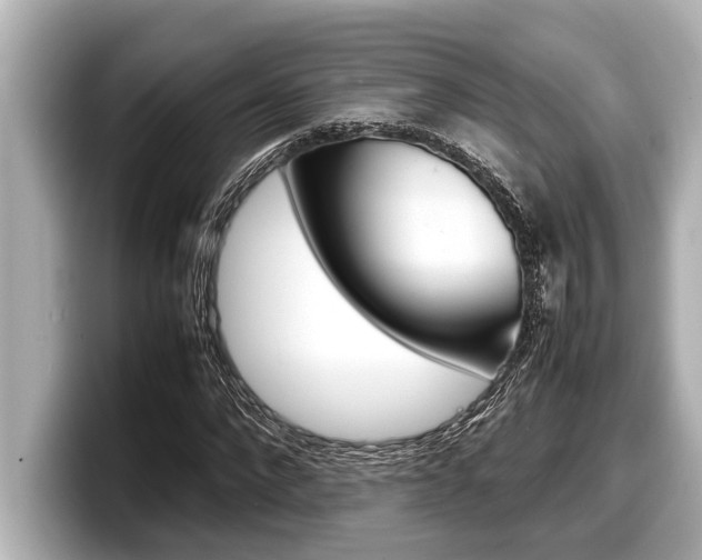 X0000098220872200804241131