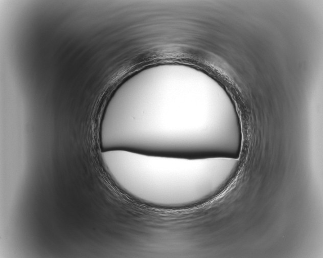 X0000098220873200804241131