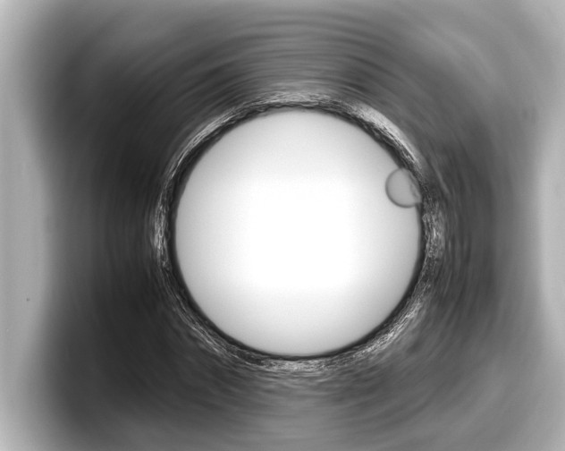 X0000098220874200804241131