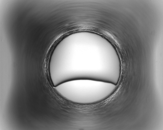 X0000098220875200804241131
