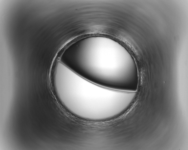 X0000098220876200804241131