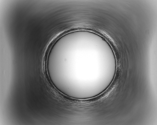 X0000098220877200804241131
