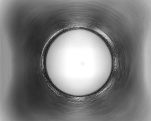 X0000098220878200804241131
