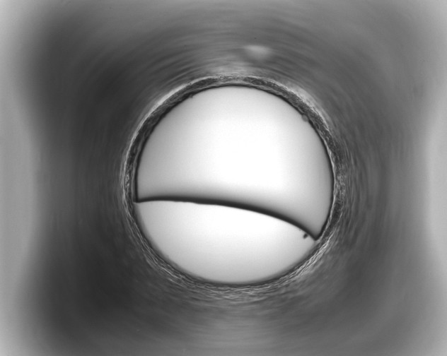 X0000098220879200804241131