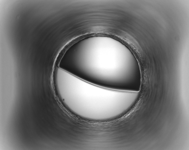 X0000098220880200804241131