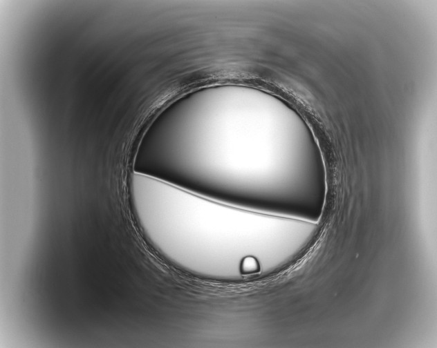 X0000098220881200804241131