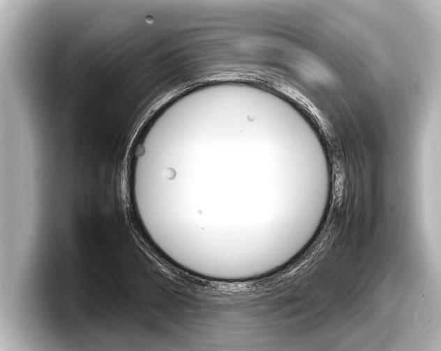 X0000098220882200804241131