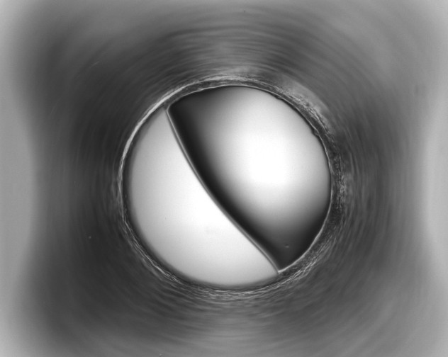 X0000098220884200804241131