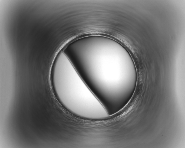 X0000098220885200804241131