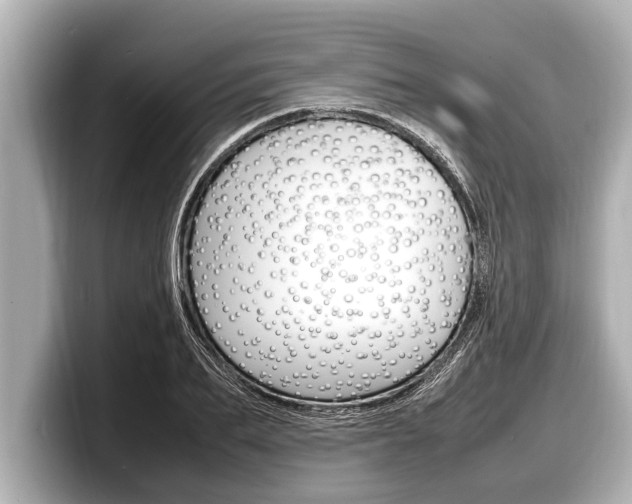 X0000098220887200804241131
