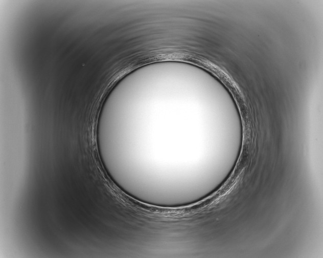 X0000098220889200804241131