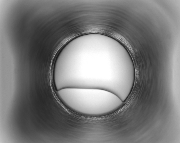 X0000098220890200804241131