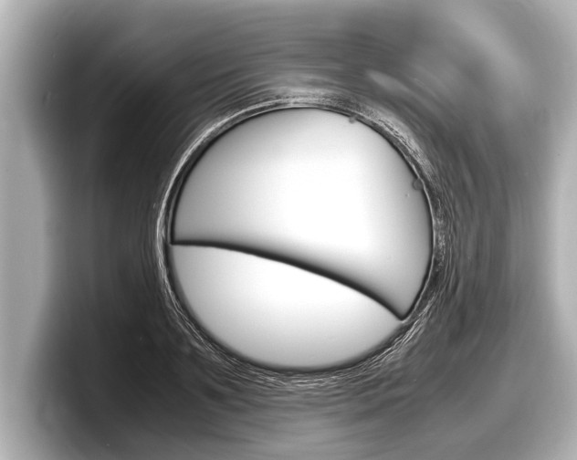 X0000098220891200804241131