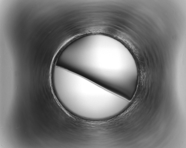 X0000098220894200804241131