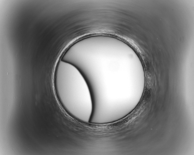 X0000098220895200804241131