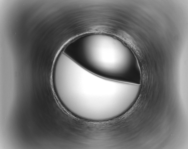 X0000098220896200804241131