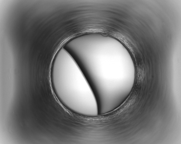 X0000098220898200804241131