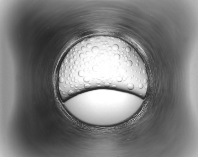 X0000098220899200804241131