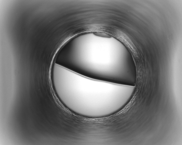 X0000098220900200804241131