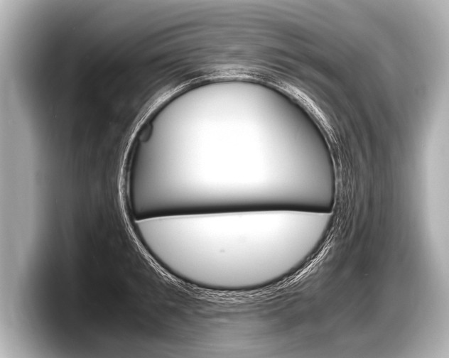 X0000098220901200804241131