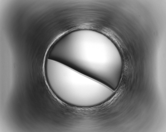 X0000098220902200804241131