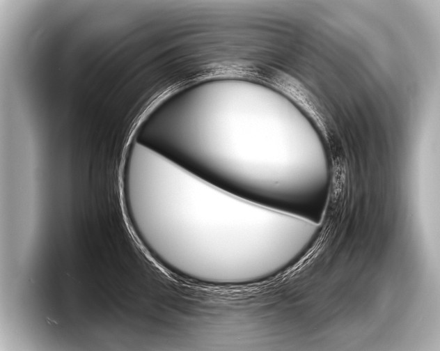 X0000098220906200804241131
