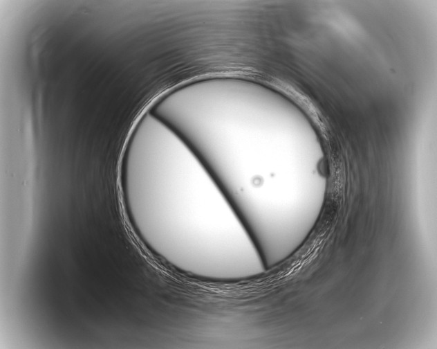 X0000098220907200804241131