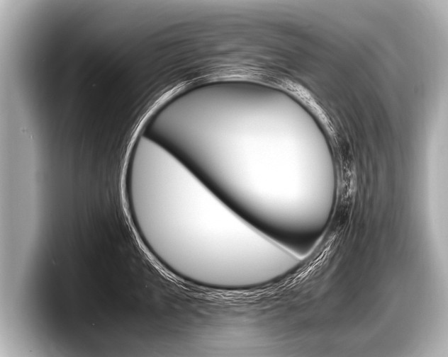 X0000098220909200804241130