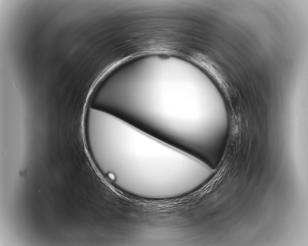 X0000098220910200804241130