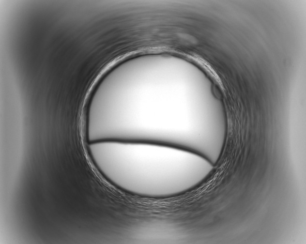 X0000098220911200804241130