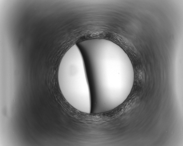 X0000098220914200804241130