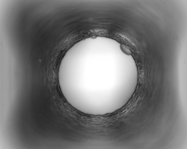 X0000098220917200804241130
