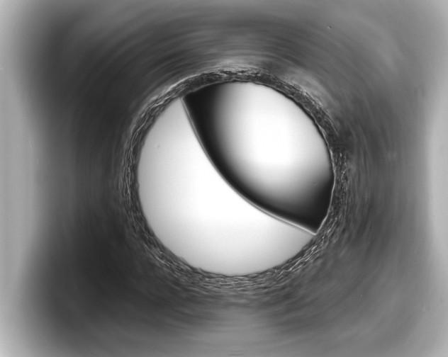 X0000098220920200804241130