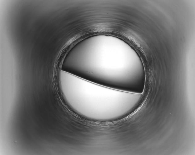 X0000098220922200804241130