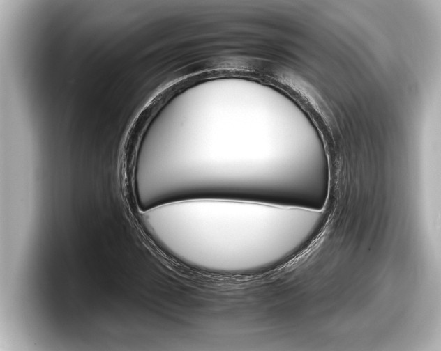 X0000098220923200804241130