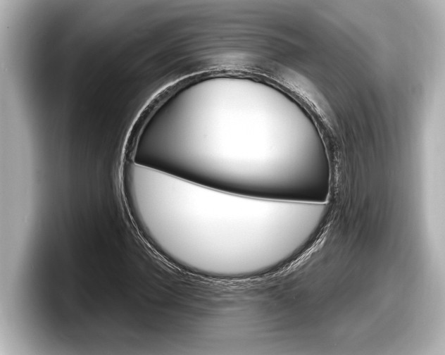 X0000098220924200804241130