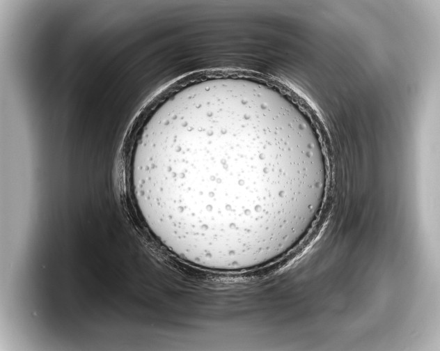 X0000098220925200804241130