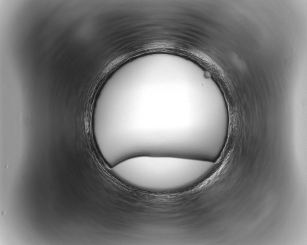 X0000098220929200804241130