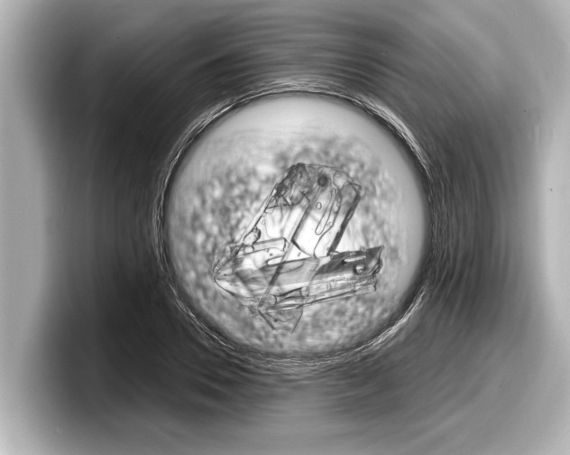 X0000098220930200804241130