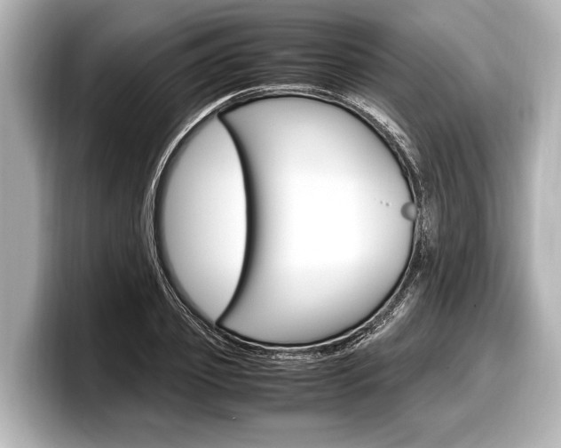 X0000098220933200804241130