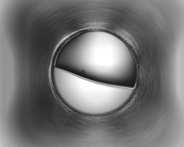 X0000098220936200804241130