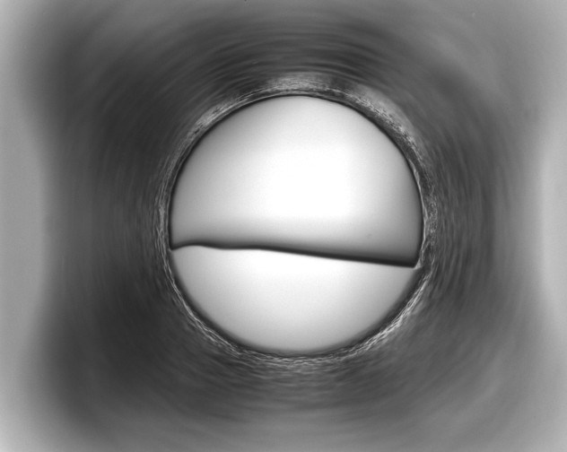 X0000098220937200804241130