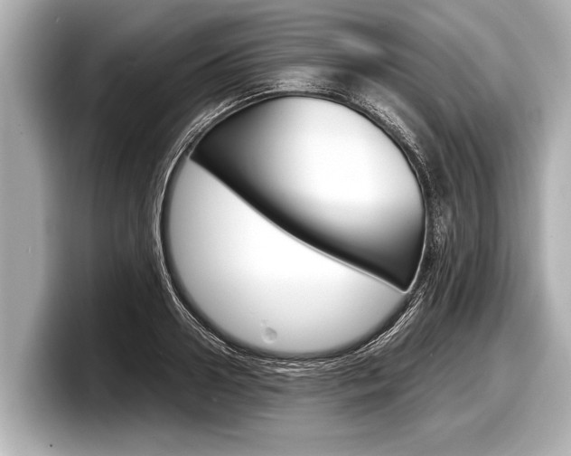 X0000098220938200804241130
