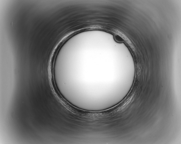 X0000098220939200804241130