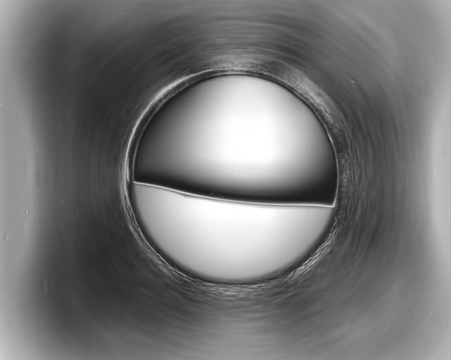 X0000098220940200804241130