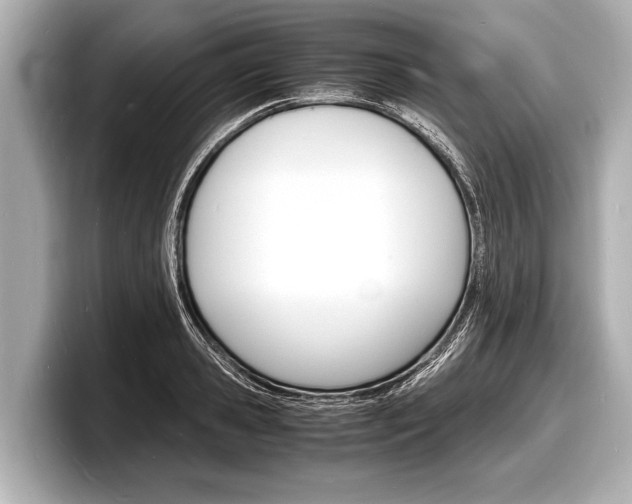 X0000098220941200804241130